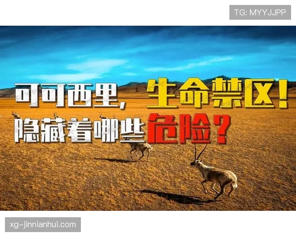 裁判沟通规则详解:允许交流内容和禁区界限有哪些? 裁判沟通规则详解:允许交流内容和禁区界限有哪些?